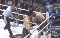 toprank fight boxing fighting espn GIF