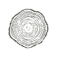 CornerTreeCafe corner tree cafe cornertreecafe corner tree cornertree Sticker