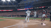 Major League Baseball Sport GIF by MLB