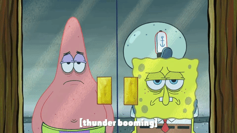 season 9 episode 3 GIF by SpongeBob SquarePants
