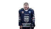 Ice Hockey Sticker by Fehervar AV19