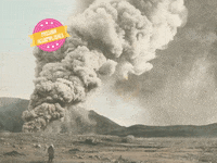 You Can Wow GIF by FranchiseONE.de