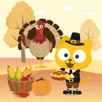 Cat Fall GIF by Studycat language learning for kids