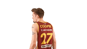 Sport Koripallo Sticker by Basket_fi