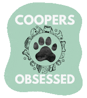 cooperskingdom cooperskingdom coopers kingdom cooperskingdomwa cooperskingdomperth Sticker