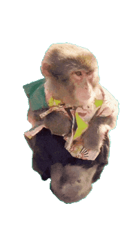 Fun Monkey Sticker