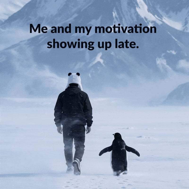 pandafxofficial giphyupload butwhy pandafx nihilistpenguin GIF