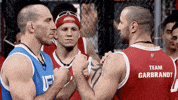 the ultimate fighter ufc GIF