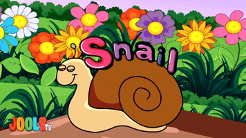 S is For Snail