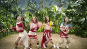 red velvet GIF