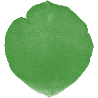 Flower Sticker