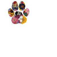 flowers paws Sticker
