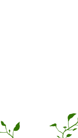 vines Sticker by McMaster Alumni Association