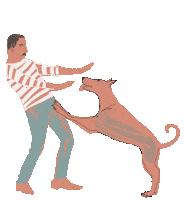 Hundefutter Sticker by Susann Stoebe