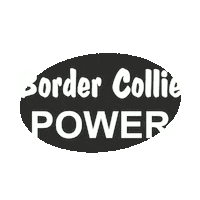 Border Collie Sticker by Hundesport Nubi
