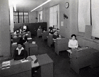 nyhistory  GIF