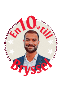 SSULENET europe eu elections ssu Sticker