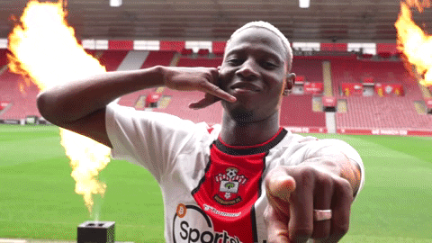 Premier League Football GIF by Southampton FC