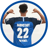 2 Bundesliga Football Sticker by SV Darmstadt 1898 e.V.