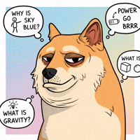 Shiba Inu Thinking GIF by Doge Pound
