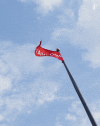 GIF by Stanford Athletics