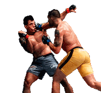 emilianosordi fight mma argentina champion Sticker