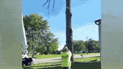 Fail To The Moon GIF by Hacker Noon
