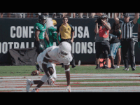 florida atlantic fau football GIF by FAU Athletics