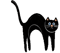 Black Cat Sticker