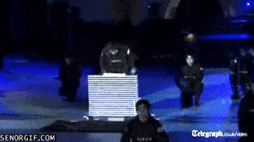 police win GIF by Cheezburger