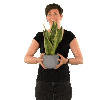 Happy Daumen Hoch Sticker by Starkl Gartencenter