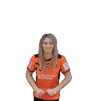 Nederlands_Handbal_Verbond oranje handbal nhv handbaldames Sticker