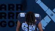 canadian football league GIF by Toronto Argonauts