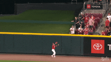 Baseball Mlb GIF by Cincinnati Reds