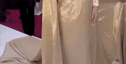 Red Carpet Oscars GIF by The Academy Awards