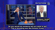 donald trump GIF