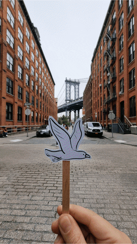 New York Bird GIF by cintascotch