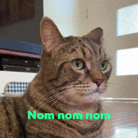 Hungry Feed Me GIF