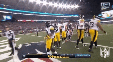 Pittsburgh Steelers Football GIF by NFL