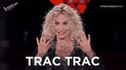 Rai 1 GIF by The Voice of Italy