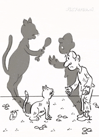 Cat GIF