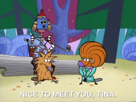 nickrewind nicksplat angry beavers GIF