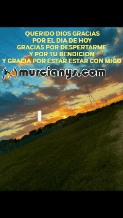 Sol Amigos GIF by Murcianys LLC