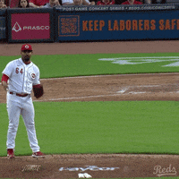Baseball Mlb GIF by Cincinnati Reds