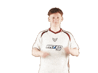 Chr1Zn Sticker by HEROIC