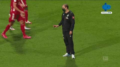 Bayern Munchen Bundesliga GIF by MolaTV