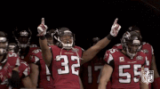 Atlanta Falcons Football GIF by NFL