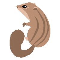 Chipmunk Sticker