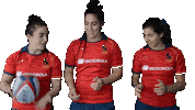 FERugby rugby fer pgr bimba Sticker