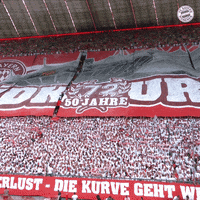 Allianz Arena Football GIF by FC Bayern Munich
